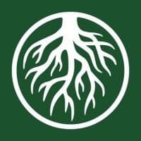 Logo Decade of Action