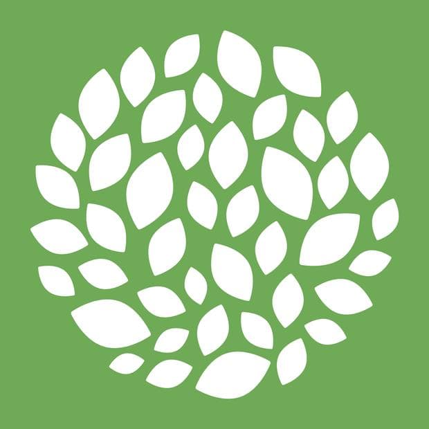 Logo Reflections of Life